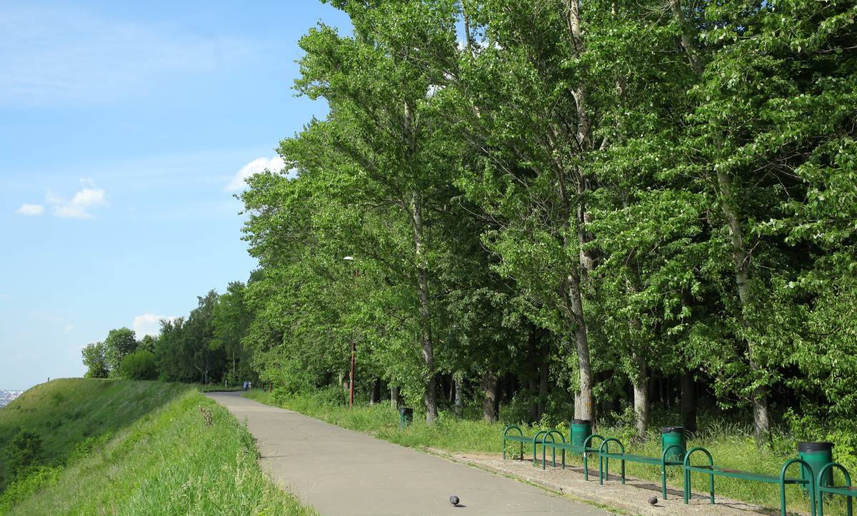 Нижний Новгород получит 210 млн рублей на проект благоустройства парка Швейцария  - фото 1